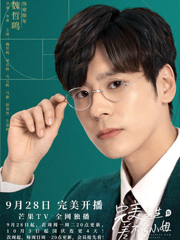 电视剧_完美先生和差不多小姐_剧情001