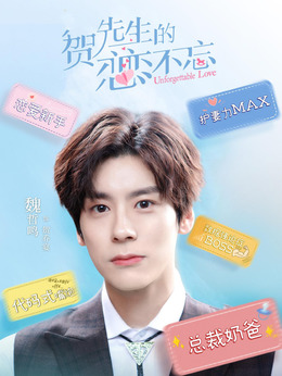 电视剧_贺先生的恋恋不忘_剧情001