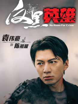 陈祖耀_反黑英雄_剧情001